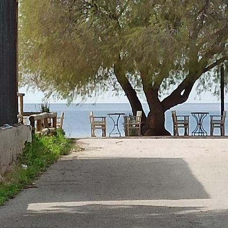 Ψάθα Παραλία Villa Ngoại thất bức ảnh